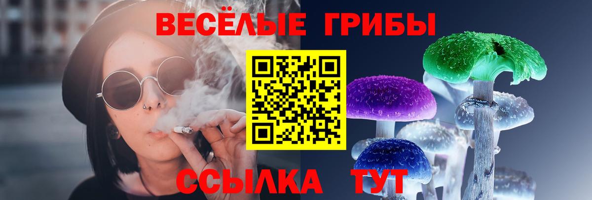 Псилоцибиновые грибы Magic Shrooms  Вход с VPN  Арсеньев  наркота  Псилоцибиновые грибы Psilocybe 